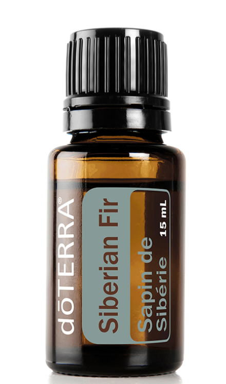 Siberian Fir - 15ml Essential Oil