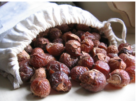 Soap Nuts