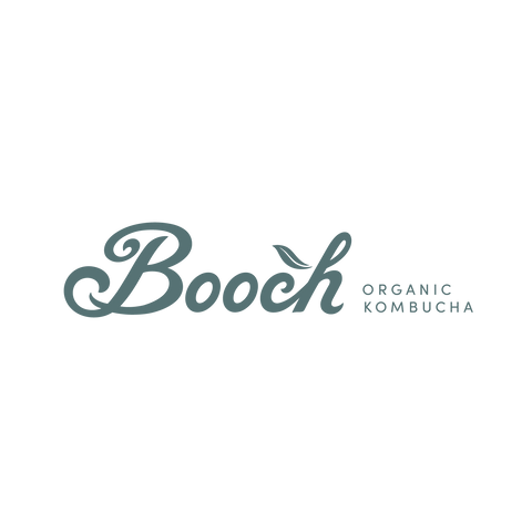 Booch Organic Kombucha Cans - 355 ml