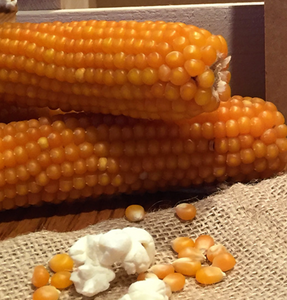 The Popcorn Barn